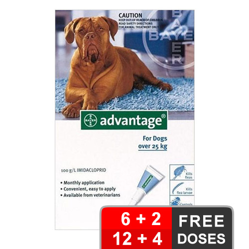 Advantage Extra Large Dogs Over 55 Lbs Blue 12 + 4 Free