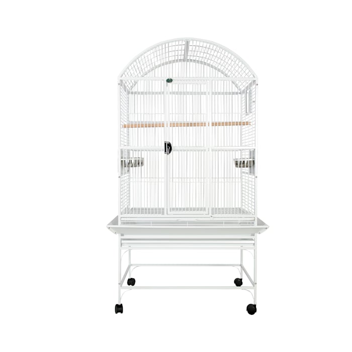 A&E Cage Company White Palace Dometop Bird Cage, 32" L X 23" W X 63" H