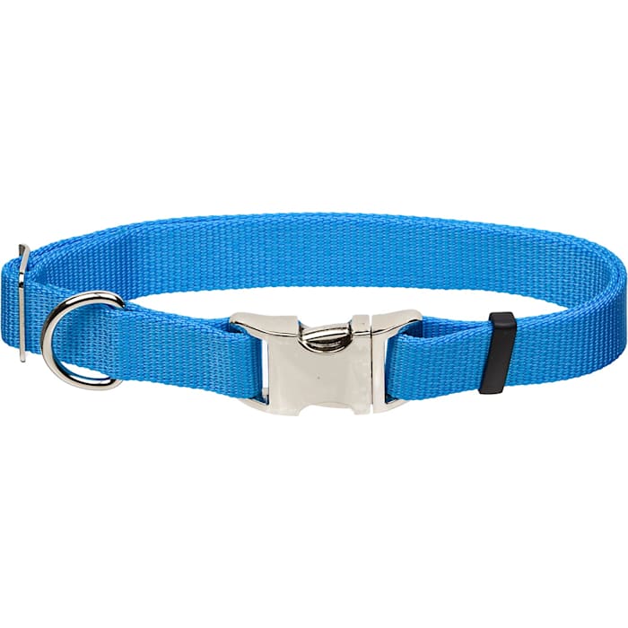 Coastal Pet Products Personalized Blue Lagoon Adjustable Dog Collar with Metal Buckle, Large