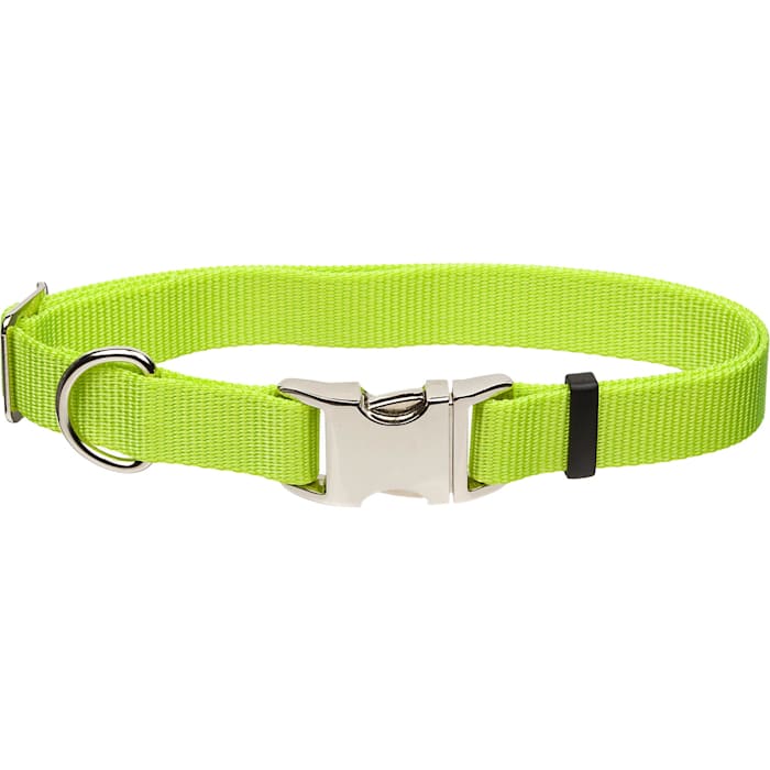 Coastal Pet Products Personalized Lime Adjustable Dog Collar with Metal Buckle, Large, Green