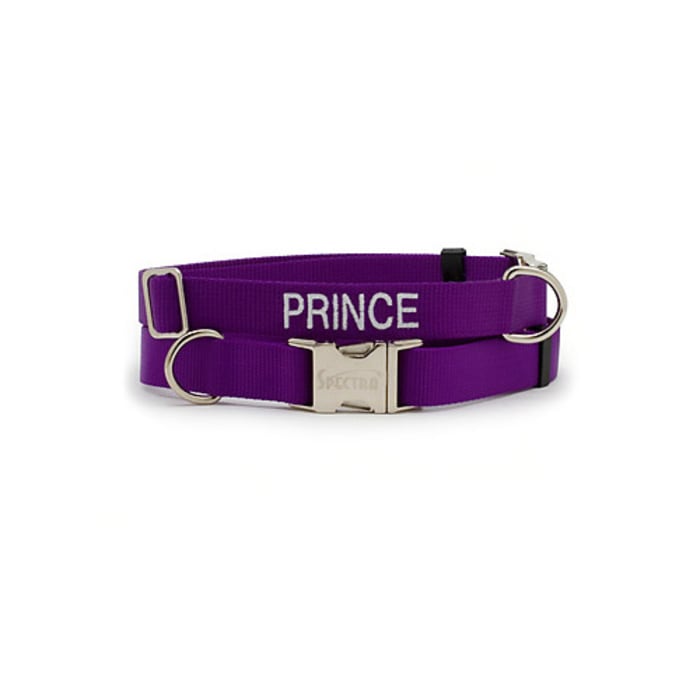 Coastal Pet Products Personalized Purple Adjustable Dog Collar with Metal Buckle, Large