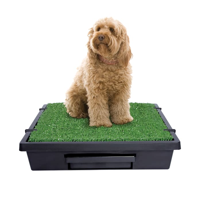 Pet Loo Indoor Yard Training System for Dogs, Medium, 24-Inch by 23-Inch, Green