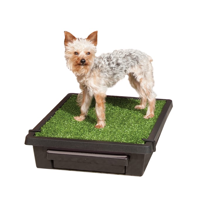 Pet Loo Indoor Yard Training System for Dogs, Small, Green