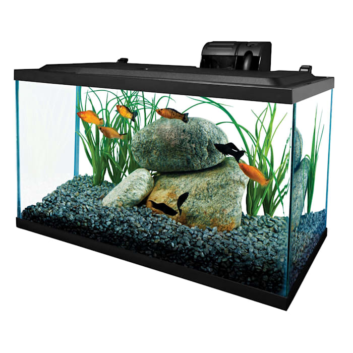 Tetra Open Glass 10 Gallon Rectangular Fish Aquarium Tank