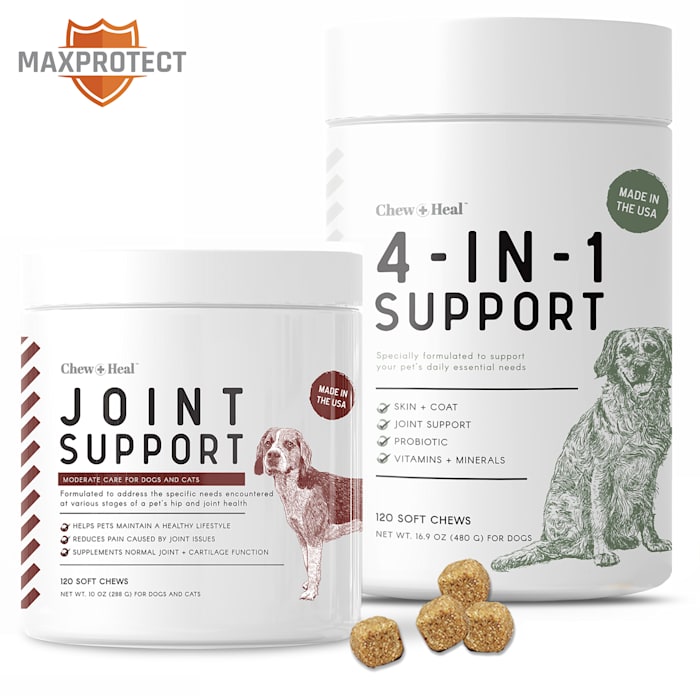 Chew + Heal MaxProtect Joint Support Dog Supplements, Count of 240