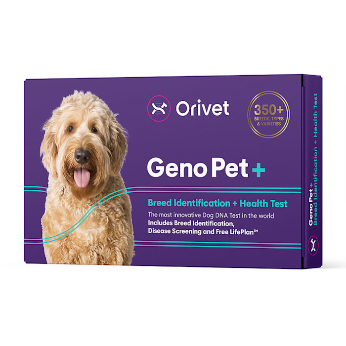Orivet Geno Pet Plus 5.0 Dog DNA Breed Identification & Health Test