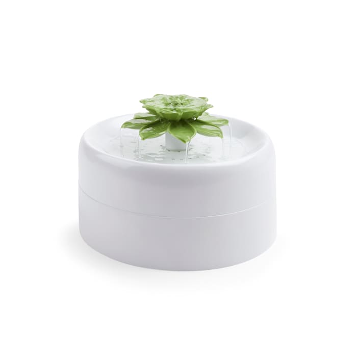 EveryYay Get Fresh Succulent Water Fountain for Pets, 50 fl. oz.