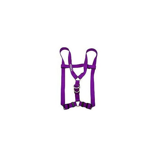 Coastal Pet Comfort Wrap Personalized Purple Adjustable Dog Harness, Large, XL