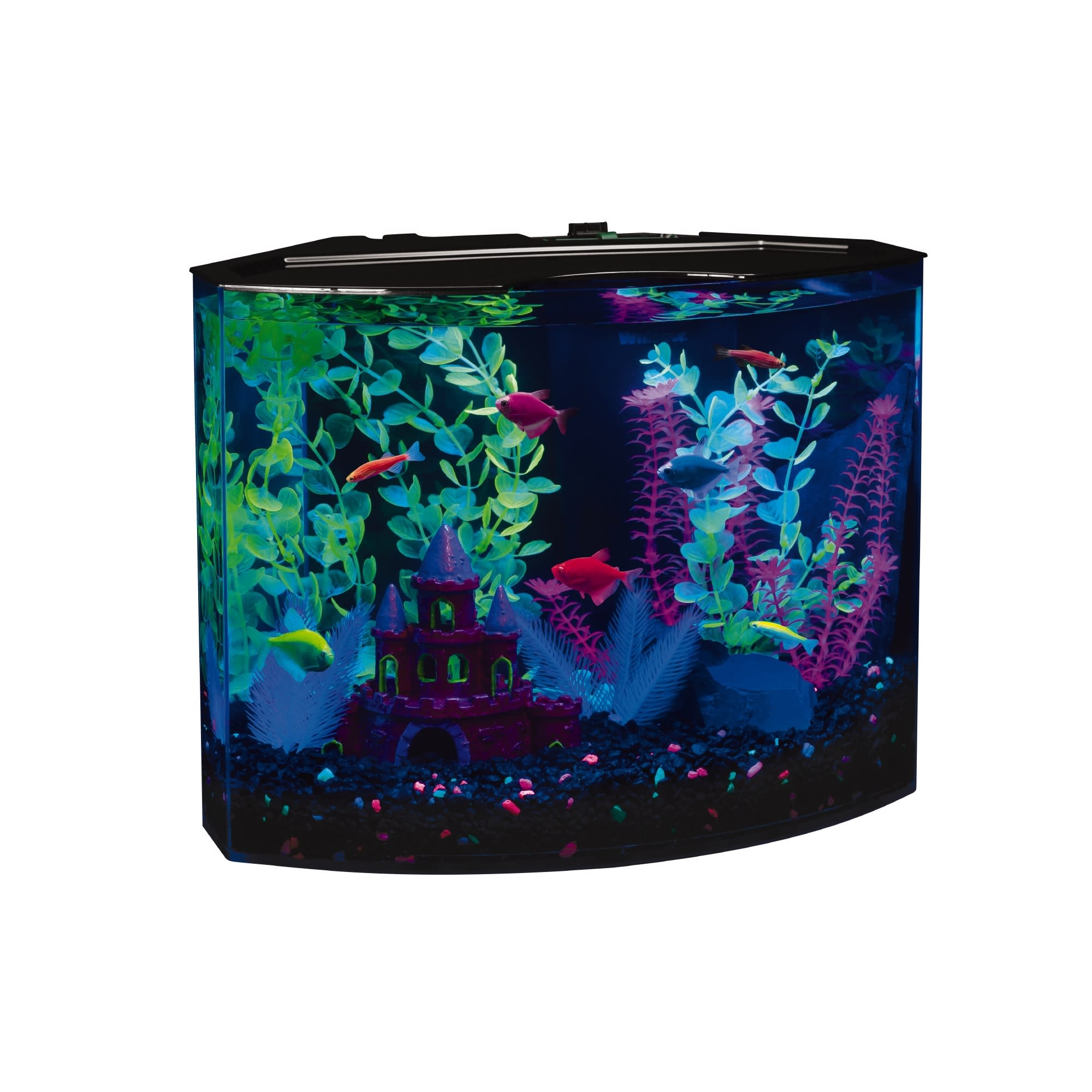 GloFish Crescent Hidden Blue LED Light & Internal Filter Aquarium Kit 5 Gallons