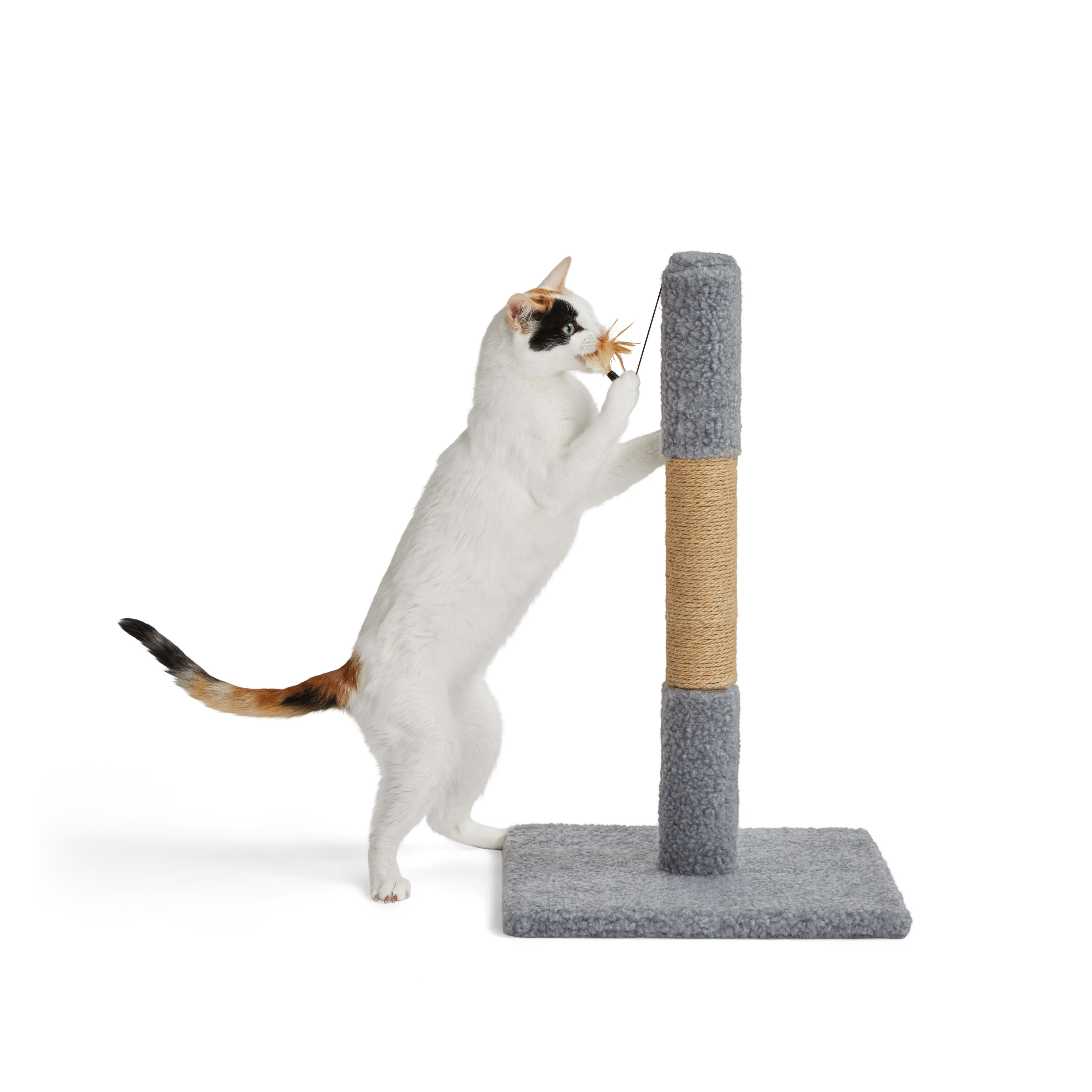 EveryYay Essentials Scratchin' The Surface Grey Post with Scratcher Cat Toy, 26" H, Gray