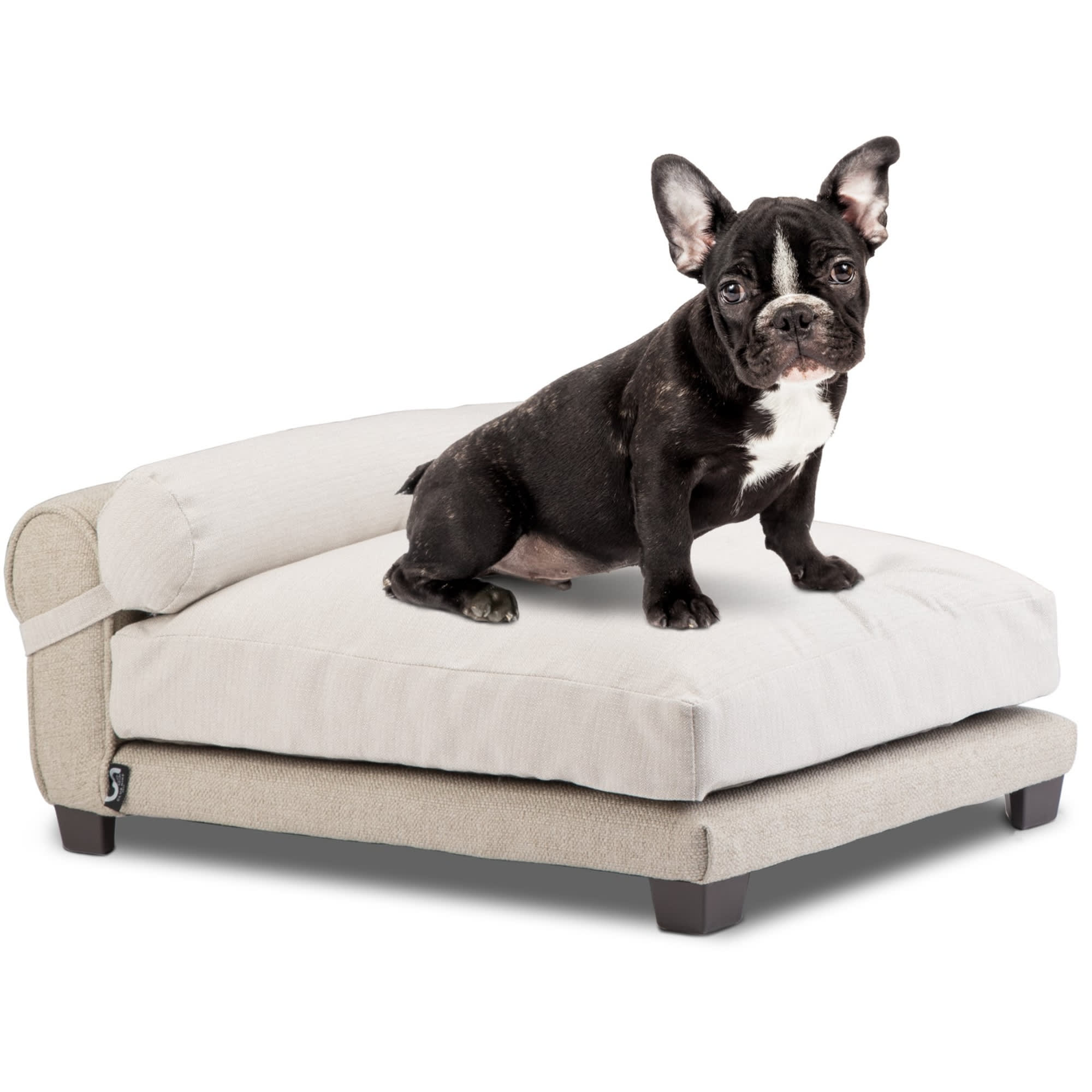 Club Nine Pets Belmont Orthopedic Dog Bed